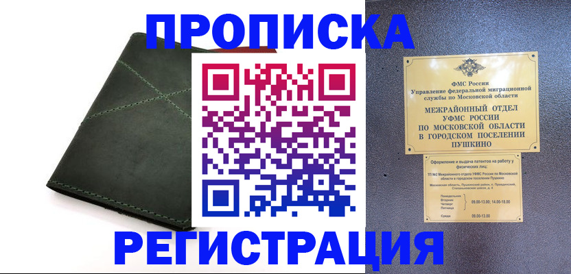 прописка в квартире в Щиграх